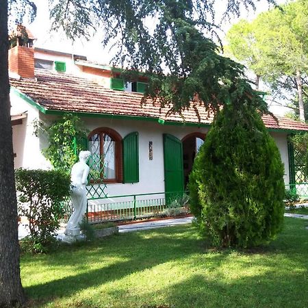 Вілла I Pini House Маджоне Екстер'єр фото
